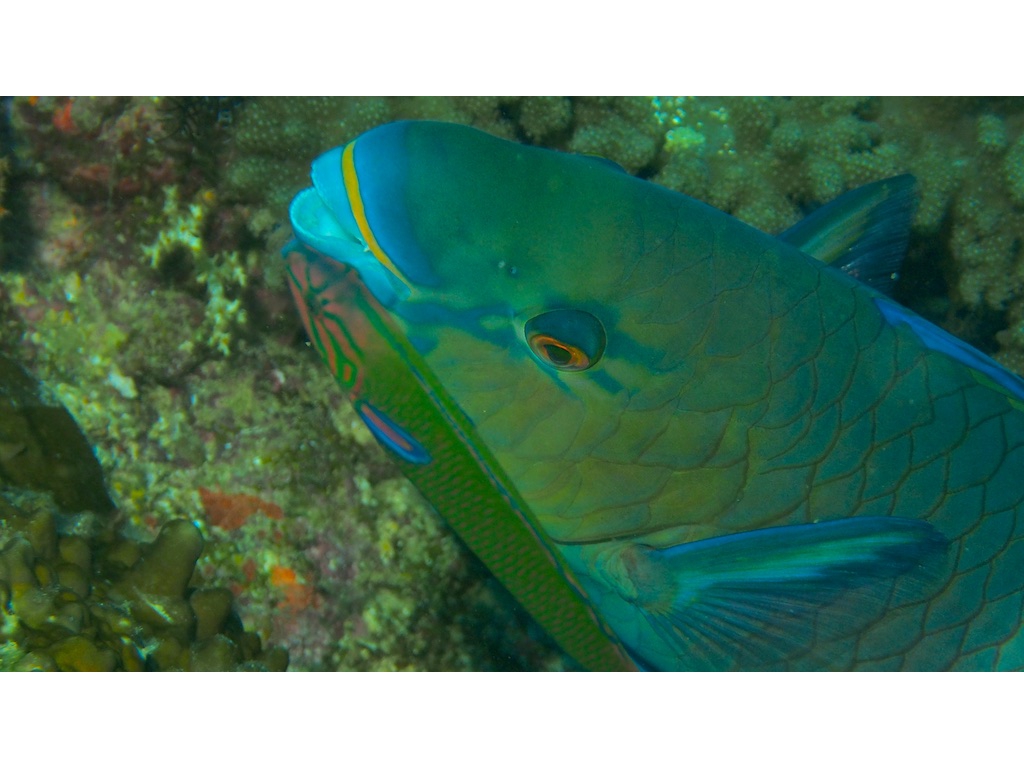 PN111276 - Version 2 PN111276 - Version 2